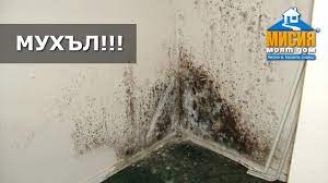 Причината за появата на плесен може да бъде недостатъчната изолация на стените на къщата. Premahvane Na Muhl Misiya Moyat Dom Youtube