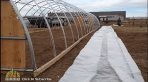 Installing A Greenhouse Covering