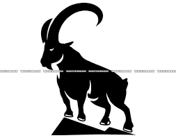 Ibex Svg 2 Wild Wildlife Goat Nature