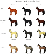 The Jorvik Report Horse Color Chart