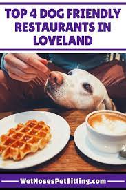 dog friendly restaurants in loveland