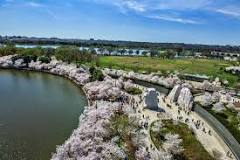 where-do-you-park-when-visiting-the-tidal-basin