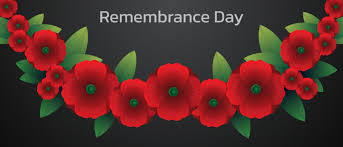 remembrance poppy images browse 7