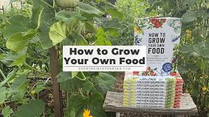 How To Grow Your Own Food Growing In