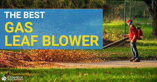 You will get two functions in one appliance. The Best Gas Leaf Blower Top 8 Picks Essential Home And Garden