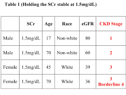 Renal Medication Dosing Primary Care Network