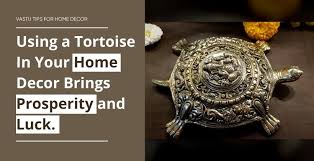 Using A Tortoise In Your Home Decor
