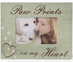 Send heartfelt condolences with pet sympathy cards at zazzle. Loss Of Pet The Comfort Company Inc