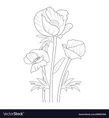 poppy flower drawing easy for kids