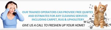 carpets cleaning house carpets