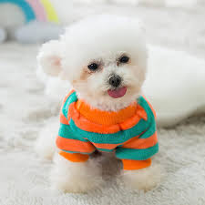 dosuyi xs dog sweater fleece small dog