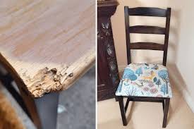 ikea dining chairs recover from dog