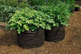 Jumbo Potato Grow Bags
