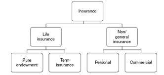 The beneficiary gets only the death benefits. What Is Insurance Insurance Companies List Insurance Guide