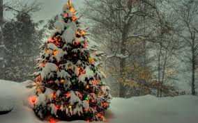Christmas Tree Wallpapers 81 Background Pictures