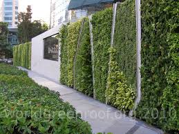 Vertical Garden Landscape Design