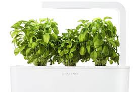 It is able to take care of itself, it can grow fresh and flavoring vegetables, fruits, and herbs my experience with click and grow smart garden was and still successful because owing to it i managed to make my house viral with plants, i became. Does The Click And Grow Garden System Actually Work Kitchn