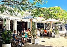 Dog Friendly Cafes Sunshine Coast Plus
