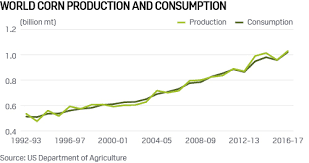 Brazil Faces Corn Conundrum After Weak Crop Necessitates