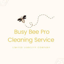busy bee pro cleaning service smyrna