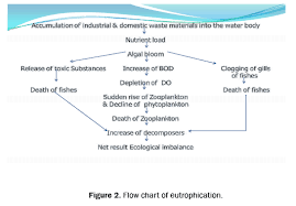 Eutrophication A Global Aquatic Environmental Problem A