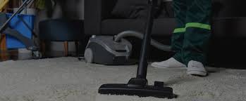 find the best carpet cleaning companies