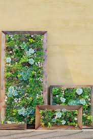 My 4 Ideas For Succulent Wall Planters