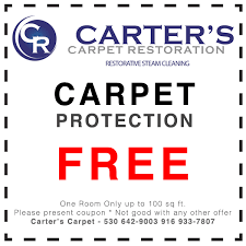 carters carpet restoration