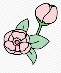 I'm going to show you how to make gifs (or animations) without a background or in other words; 60 Images For Transparent Flower Flower Blooming Animation Gif Png Transparent Glitter Gif Free Transparent Png Images Pngaaa Com