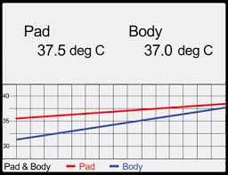 Righttemp Mouse Body Temperature Monitor Kent Scientific