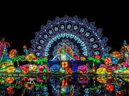 dubai garden glow book your garden