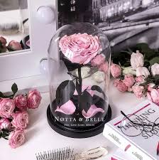 Forever Rose In Glass Jar Notta Belle