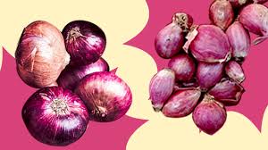 red onion shallots