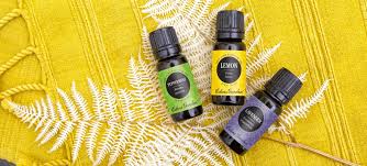 edens garden essential oils review 1