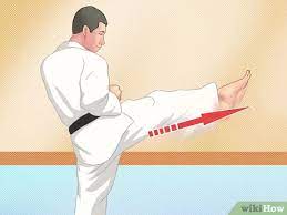 Also, all can be performed by the front or rear leg in a given stance. How To Perform A Taekwondo Front Kick 12 Steps With Pictures