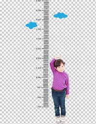 Toddler Human Height Growth Chart Child Measurement Png
