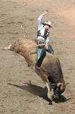 what-is-the-rope-on-the-back-of-a-bucking-bull