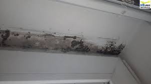 brown spots on ceiling common causes