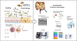 IJMS | Free Full-Text | Gut Microbiome Proteomics in Food Allergies