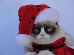 Image result for cats grumpy cat dressed as santa claus
