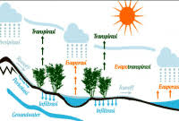 Pengertian evaporasi adalah proses perubahan molekul air menjadi uap air. Evaporasi Adalah Proses