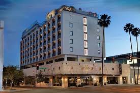 Sixty Beverly Hills Hotel Reviews