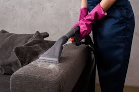 the best upholstery steam cleaner to