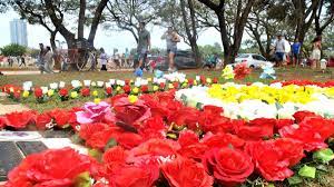 Chandigarh Is Hosting Its 51st Rose Festival In February 2023 & Here's All  That's New!