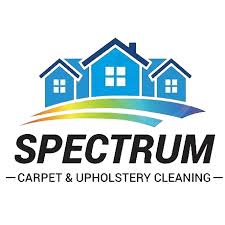 bleach carpet repair services