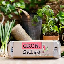 Salsa Grow Kit Gardening Kit Diy