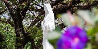 Honoring Mary In Your Garden