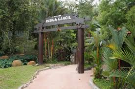 Its main attraction is the artificial lake surrounded by lush greenery in a 92ha. Perdana Botanical Gardens Kuala Lumpur Explorow Com