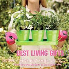 Best Plants For Gift Giving About The