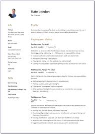 When to use a cv instead of a resume. Curriculum Vitae Samples Templates Vincegray2014